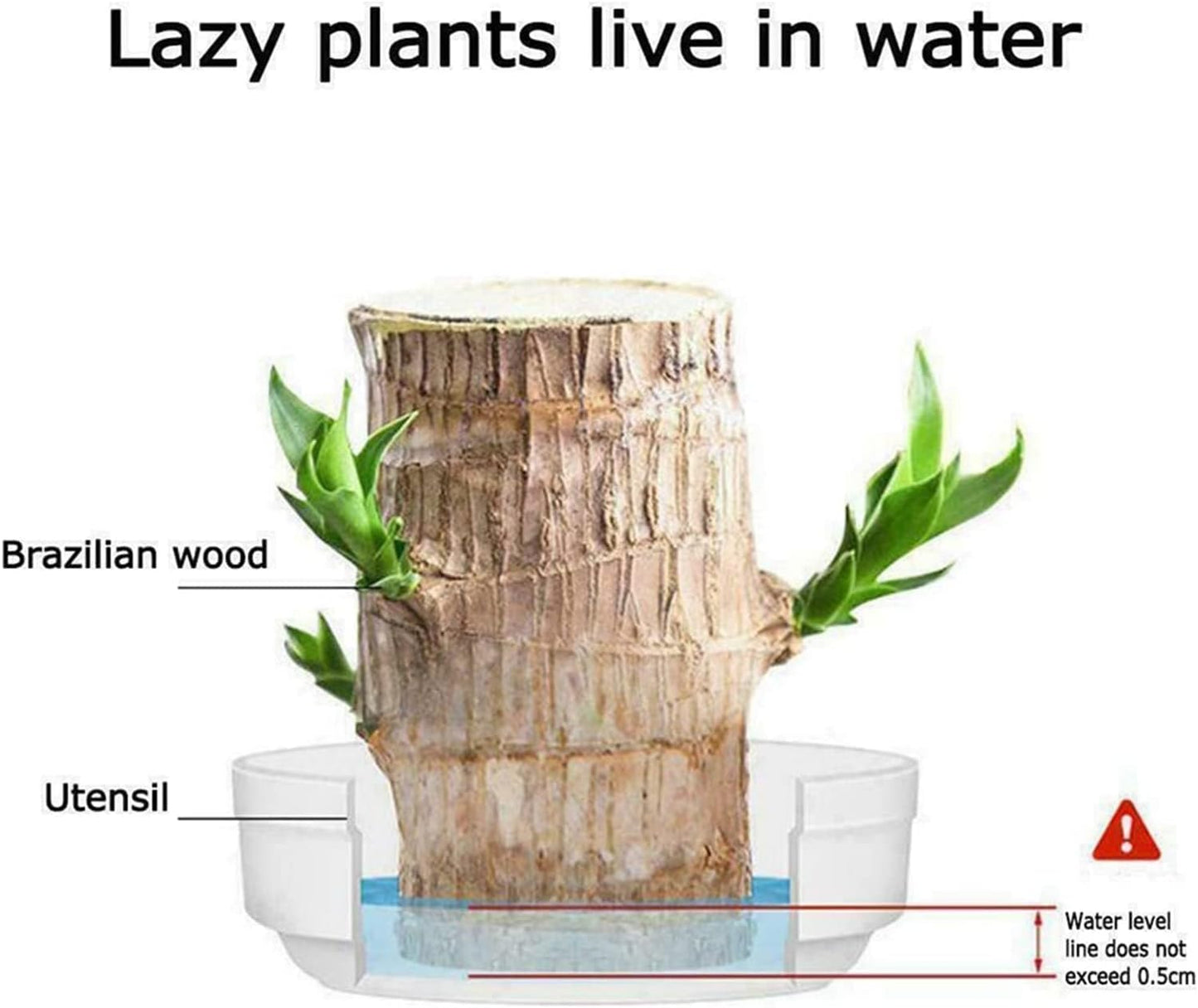 Mini Brazil Lucky Wood,Magical 𝐒𝐩𝐫𝐨𝐮𝐭𝐢𝐧𝐠 Brazilian Lucky Wood 𝐏𝐥𝐚𝐧𝐭 Wood,Indoor Office Desktop 𝐏𝐥𝐚𝐧𝐭 to Purify Indoor Air (Wood+Doll)