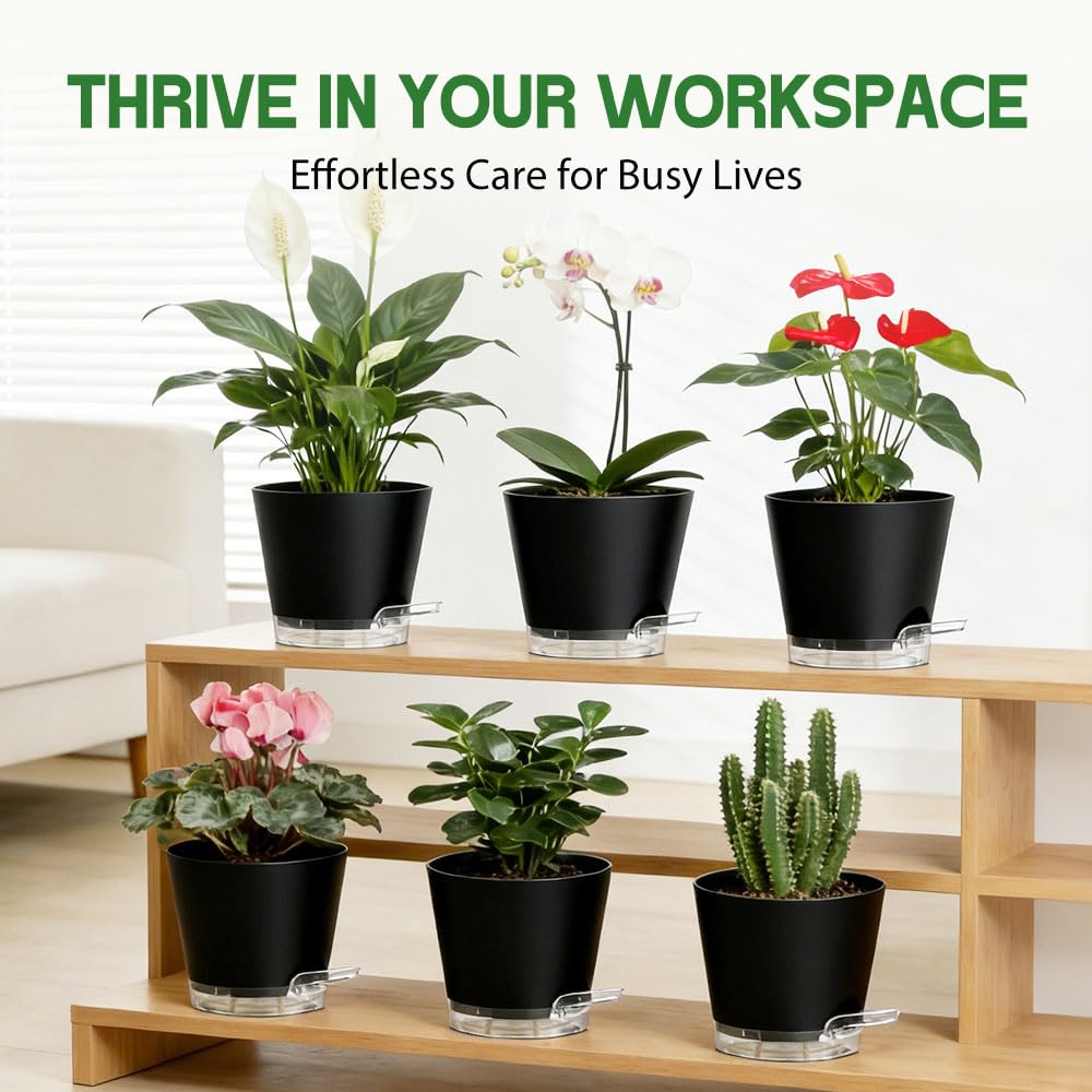 KEETUMOOD Self Watering Pots for Plants, 2026 New Flower Plant Pots with Drainage Holes, Wicking and Clear Reservoirs for Succulent, Aloe, Cacti and Others - 6 Pack (Black, 6")