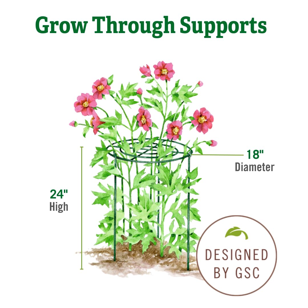 Gardener's Supply Company Grow Through Plant Support | Sturdy Metal Support Frame for Peonies, Roses Flower Garden Cage | Wide Top Rings Bouquet Shape |18" D X 24" H (Set of 3)