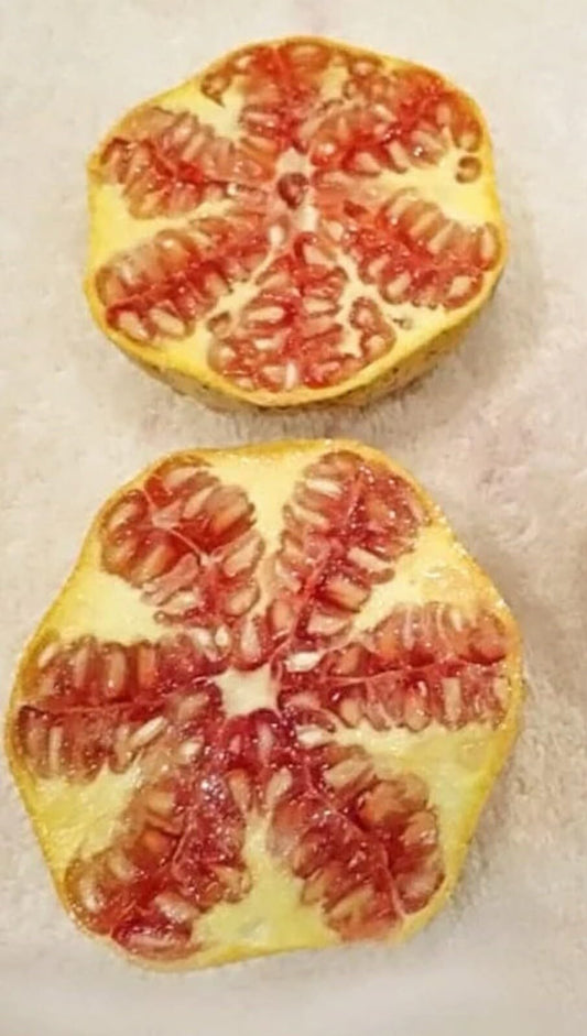 Live Plant - Rare Azadi Pomegranate Tree – Sweet, Productive, & Easy to Grow!