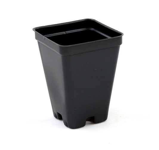 2.5 inch Square Greenhouse Pots - Black - Plastic - Deep - 25 Pack by Growers Solution