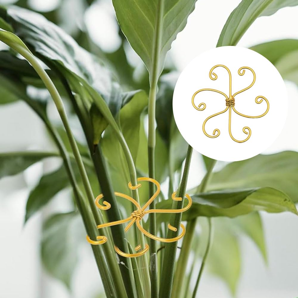 Fodeuxp 2025 New Metal Plant Stem Support Set, Golden Flower Climbing Plant Support Plant Trellis, Indoor Plants (3, Round, Rustic)