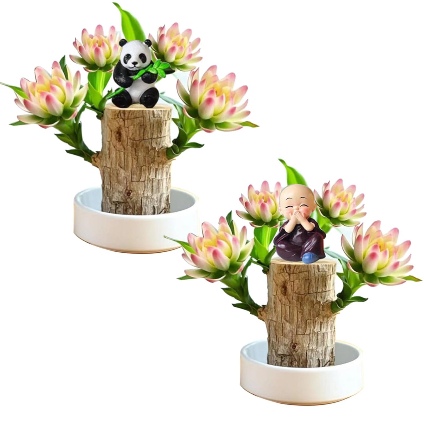 Brazilian Lucky Wood Plant Kit, Lucky Wood Doesn't Need to Wait to Sprout, Suitable for Home Office Desk Decor, Natural Air Cleaner (2L)