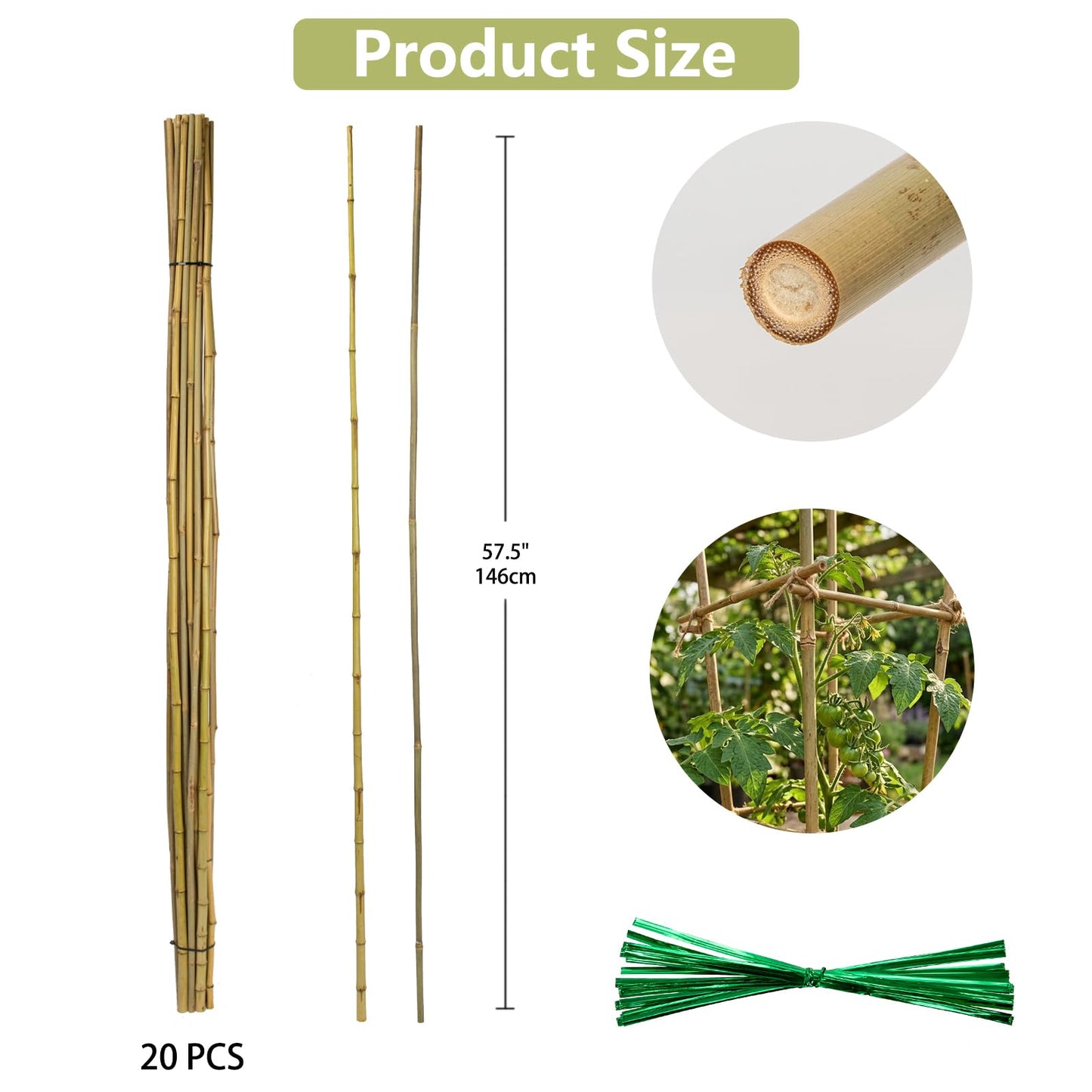 Plant Stakes Natural Bamboo Sticks - 20 Pcs Bamboo Garden Stakes for Plants 4.8 FT Plant Support Sticks with Twist Ties for Tomatoes Beans Flowers Indoor Outdoor Potted Climbing Plants
