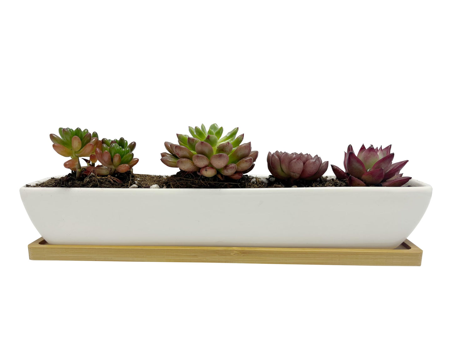 SeaStar White Rectangular Long Succulent Planter Pot,11x2.16x1.75inch Modern Minimalist Ceramic Succulent Planter Pot with Saucer for Office,Desk,Window.