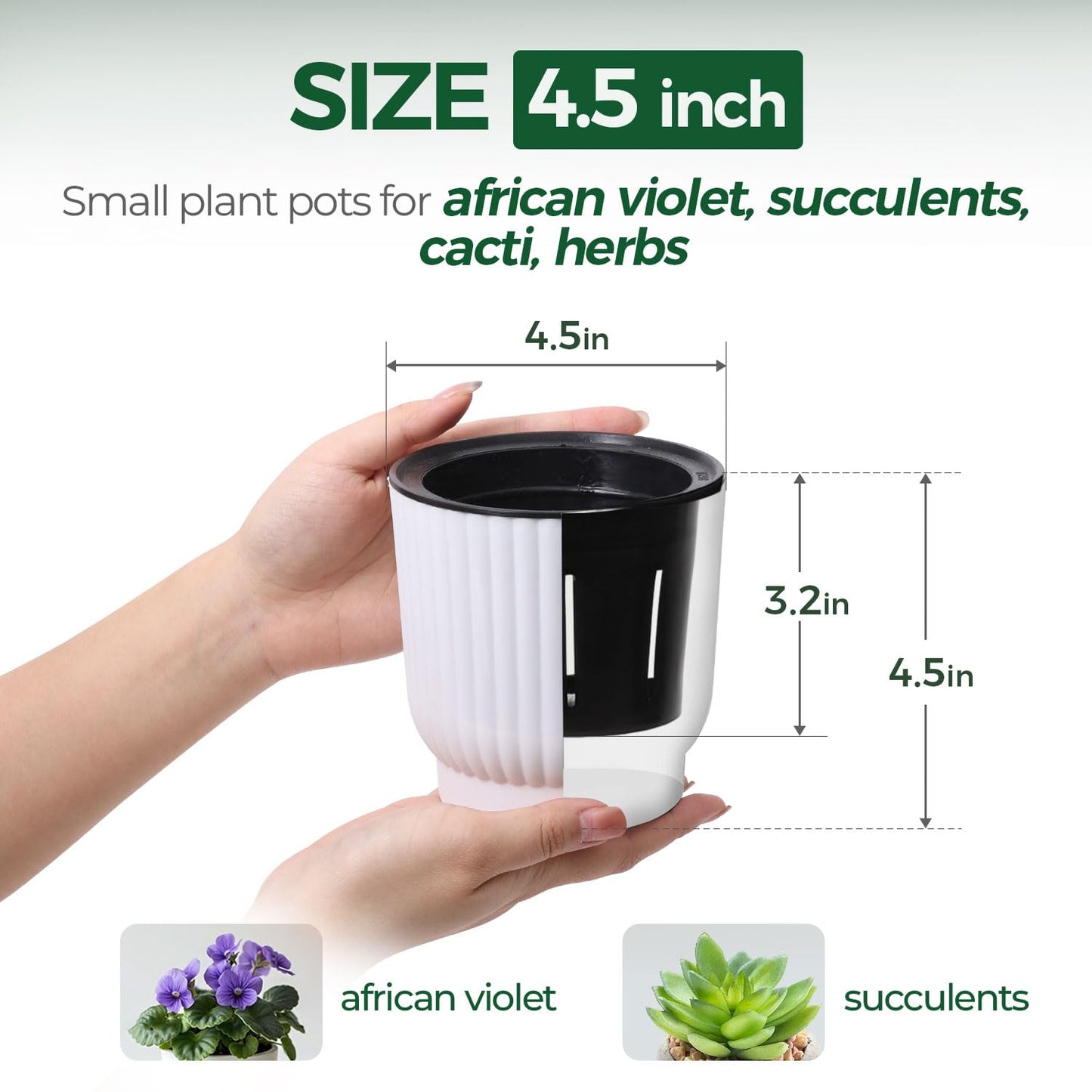 T4U 4.5 Inch Plant Pots Self Watering, 6 Pack African Violet Pots, Small Plant Pots for Plants, Small Indoor Plant Pot, Self Watering Planter for African Violet, Succulents (6 Pack 4.5" Pots, White)