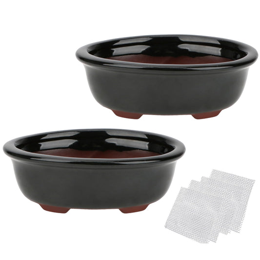 Set of 2 Zisha Ceramic Bonsai Pot, Glazed Shallow Succulent Planter Black