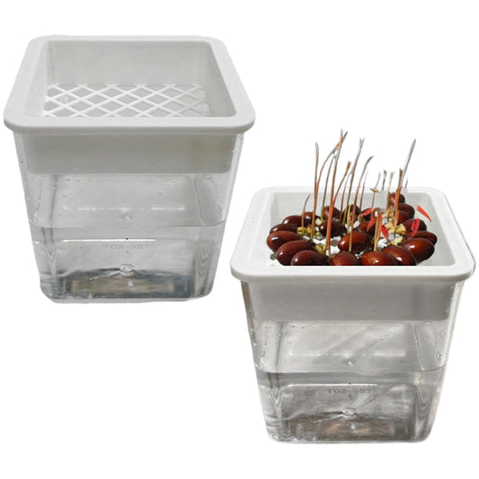 Plant Pot - Transparent Plant Containers - Hydroponic Containers - for Semi-Hydro Cuttings Seedlings African Violets Balcony Desk Garden Porch Windowsill Bedroom Living Room Yard