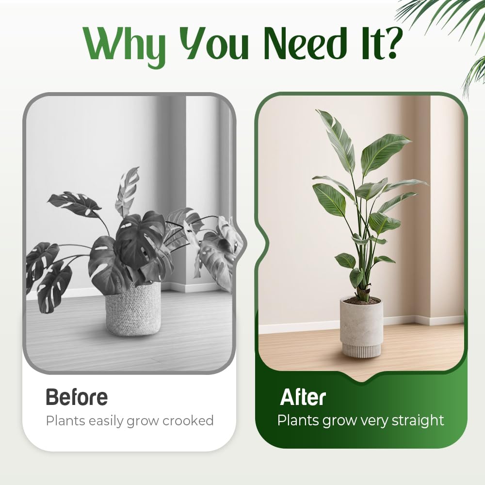 PETUPS Monstera Plant Support, 2025 Durable Monstera Stabilizer Grapple Holder, Stable Plant Support Stakes Garden Clips for Climbing Plants, Ideal Plant Stem Holder for Thriving Growth (6PCS, #A)