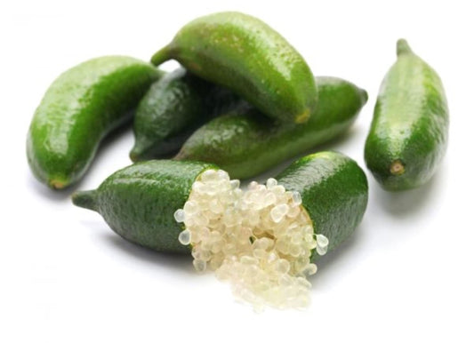 California only!! Australian Finger Lime Tree, 24-36 inches Tall grafted semi-Dwarf Plant.