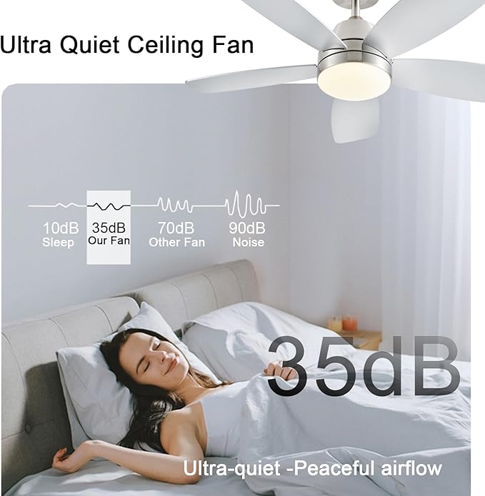 Ceiling Fans with Lights