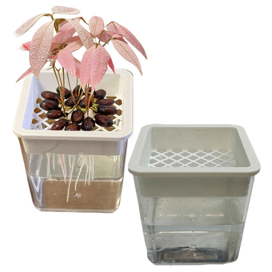 Flower Pots for Plants | Transparent Plant Containers,Outdoor Flower Pots | for Semi-Hydro Cuttings Seedlings African Violets Balcony Desk Garden Porch Windowsill Bedroom Living Room Yard