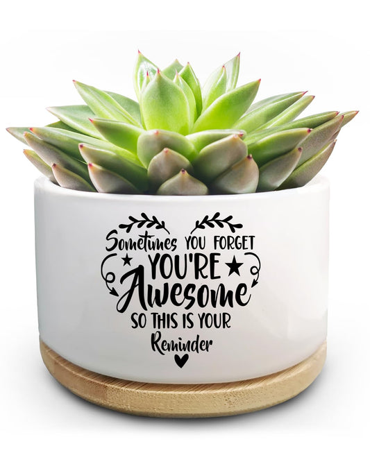 Jutasty Thank You Gifts for Women, Funny Succulent Plant Pot, Cactus Flower Planter Gifts, Appreciation Inspirational Farewell Going Away Gifts for Women Men Boss Lady Manager Coworkers (No Plants)