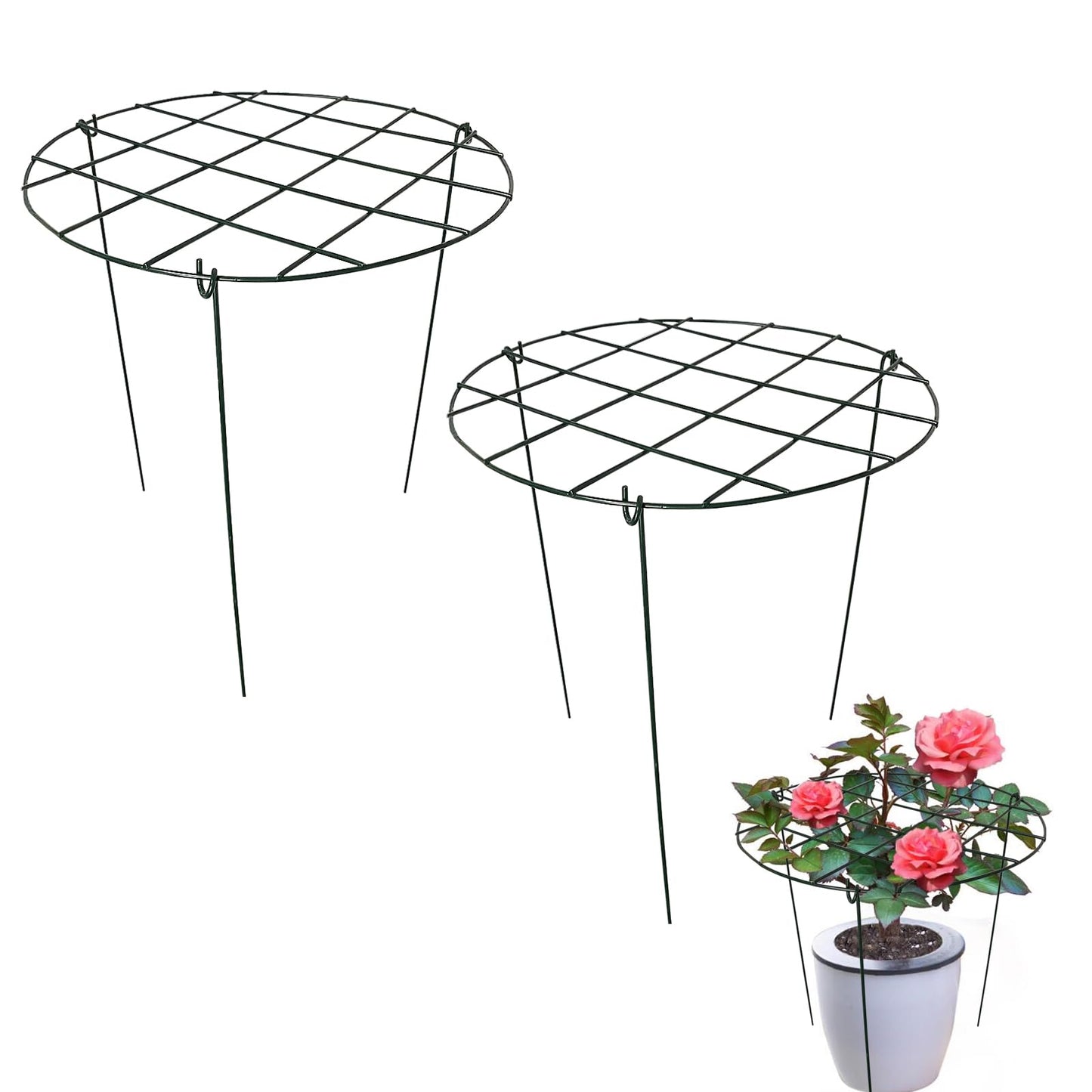 2 Pack Round Peony Cages and Supports Grow Through Grid Plant Brace,24 inch Heigh Plant Support Stake for Small Plant Flower Vegetable (2pcs 24“)