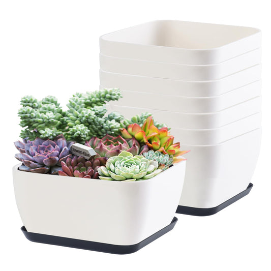 Succulent Pots 6 Inch Shallow Herb Planters with Drainage Hole - 8 Packs Cactus Planter for Home Office Garden Plants Pot Present - Plants Not Included (Off White)