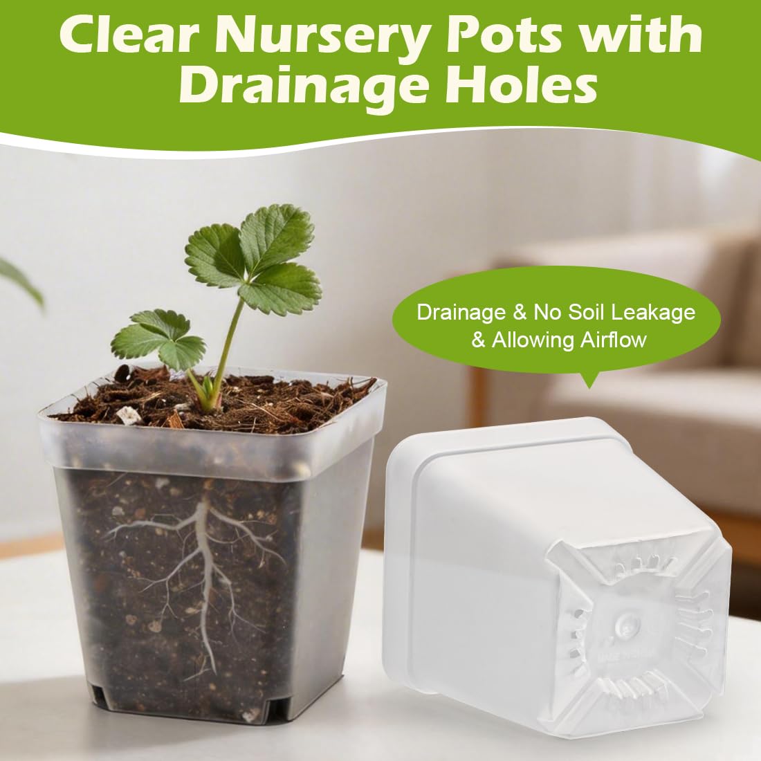 RooTrimmer 2.7 Inch Square Nursery Pots, 60 Packs Clear Seedling Pots with Drainage Holes, Reusable Propagation Pots Small Plant Container for Indoor Outdoor Gardening