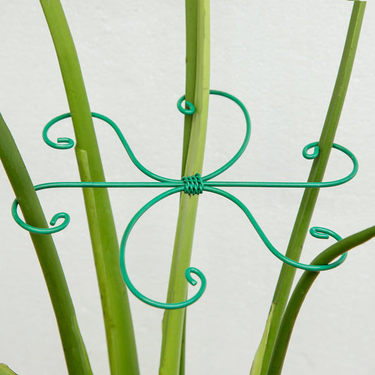 Yohsnor Monstera Plant Stem Support 5 Pcs - 7.5” Indoor Plant Stabilizer Holder for Monstera & Climbing Plants - Durable, Lightweight, Easy to Use for Optimal Growth & Stability - Home Décor Friendly