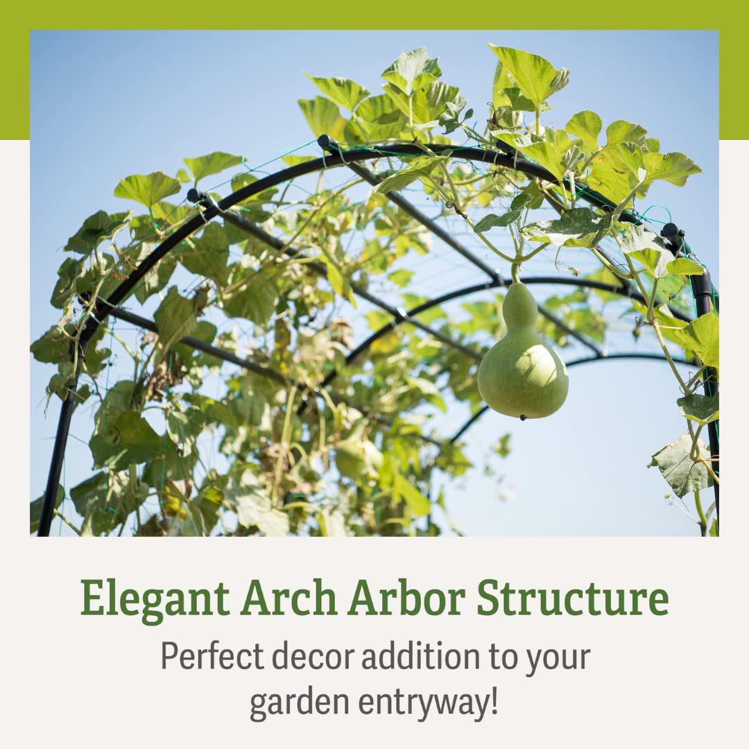 Gardener’s Supply Company Extra Tall Garden Arch Arbor | 80 Inch Tall Titan Squash Tunnel | Lightweight Metal, Trellis Plant Stand for Climbing Vines | Outdoor Lawn Tower & Support Structure