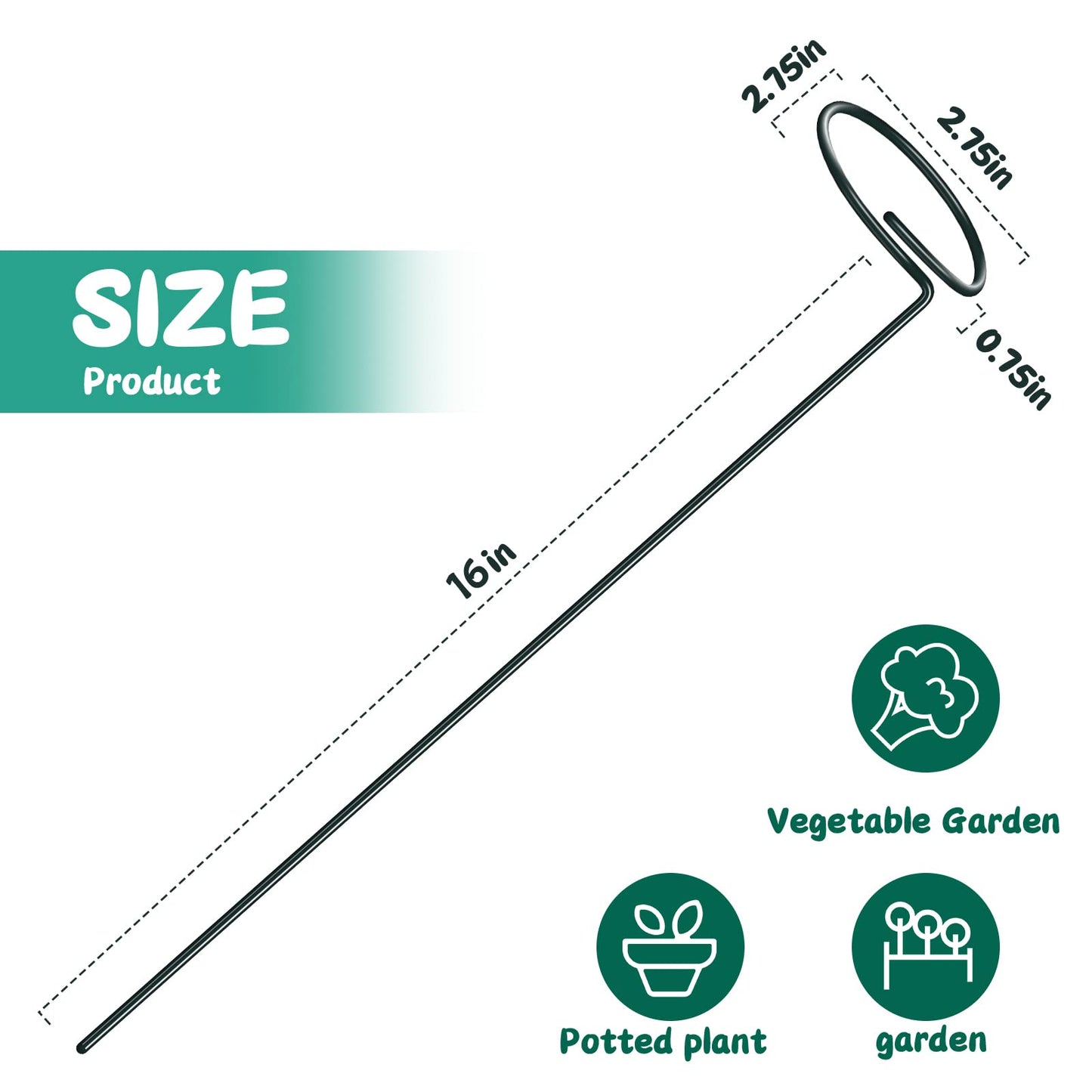 XYCING Green Metal Plants Support Stakes (Pack of 8), Garden Single Stem Plant Support Rod and Ring with 10 PCS Plant Clips, Plant Support and Clips Set - for Amaryllis, Rose, Tomato Seedling, Sapling