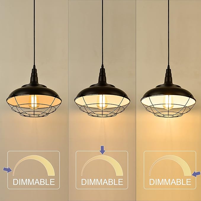 HMVPL Plug In Hanging Light Fixtures, Black Cage Plug In Pendant Light, Metal Outdoor Chandelier for Gazebo Porch, industrial Farmhouse Hanging Lamp for Kitchen Island Dining Room Bedroom Sink Hallway