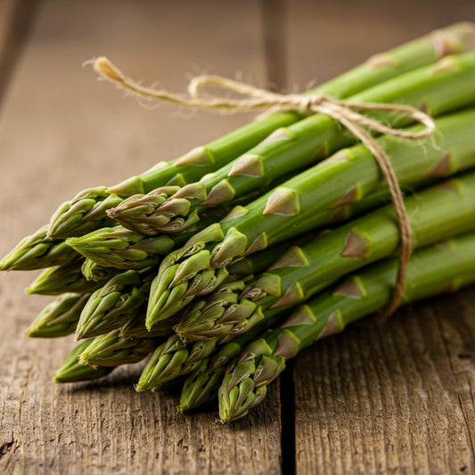 Jersey Giant Asparagus Crowns – 25 Live 2-Year Bare Root Plants – High-Yield Variety for Home Gardens and Farms