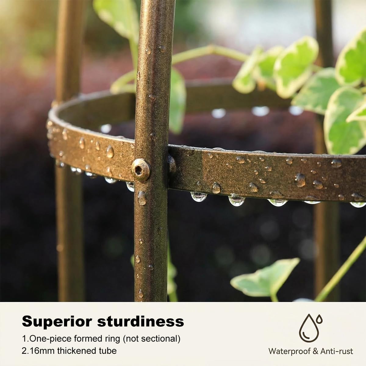 100% Metal Obelisk Garden Trellis 5.5 Feet Tall Sturdy Plant Support for Climbing Vines and Flowers Stands,1pc Upgrade (Bronze, Medium)