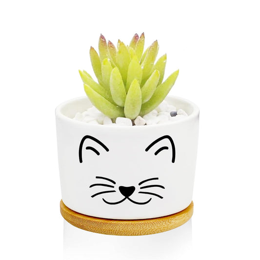 Window Garden Cat Planter Pots,Cat Gifts for Women/Men/Housewarming/Wedding/Festival Birthday Gifts Planter Pots,Outdoors/Indoors,Window Decor,Garden Decor,Yard Decor,Home Decor,Office