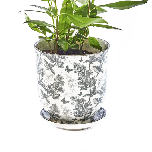 CHIVE ‘Liberte’ Ceramic Succulent Pots — 4.25” Cute Vintage Farmhouse Style Planters for Indoor Plants — Beautiful Home & Kitchen Decor — Grey Forest