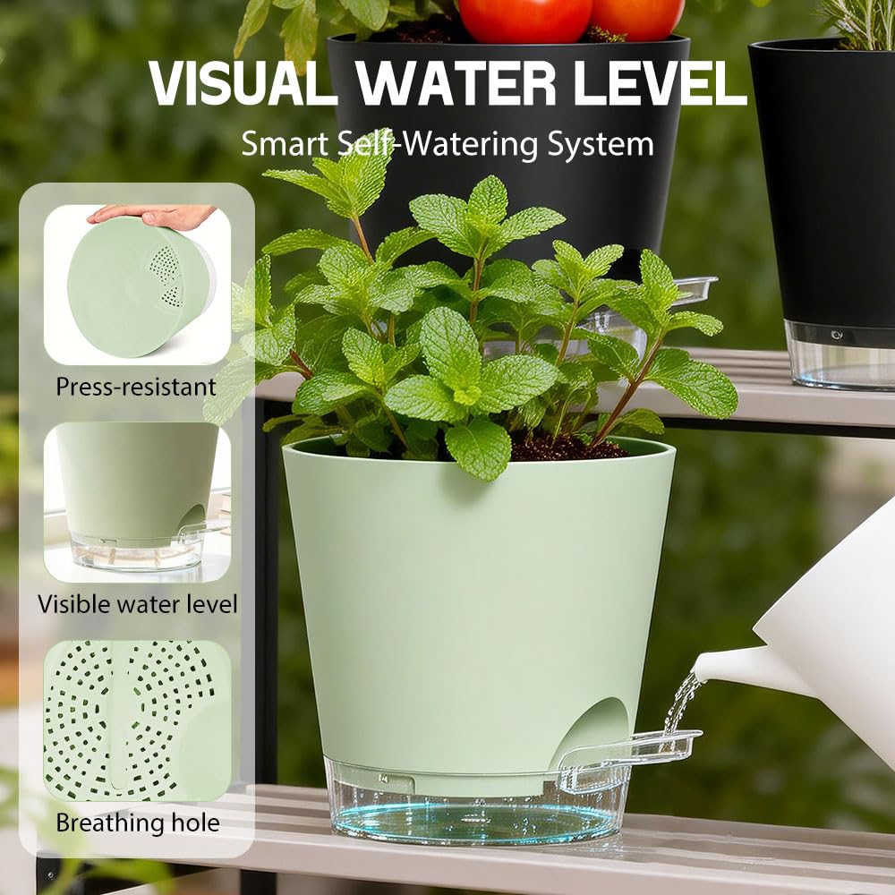 KEETUMOOD Self Watering Pots for Plants, 2026 New Flower Plant Pots with Drainage Holes, Wicking and Clear Reservoirs for Succulent, Aloe, Cacti and Others - 6 Pack (Colorful, 6")