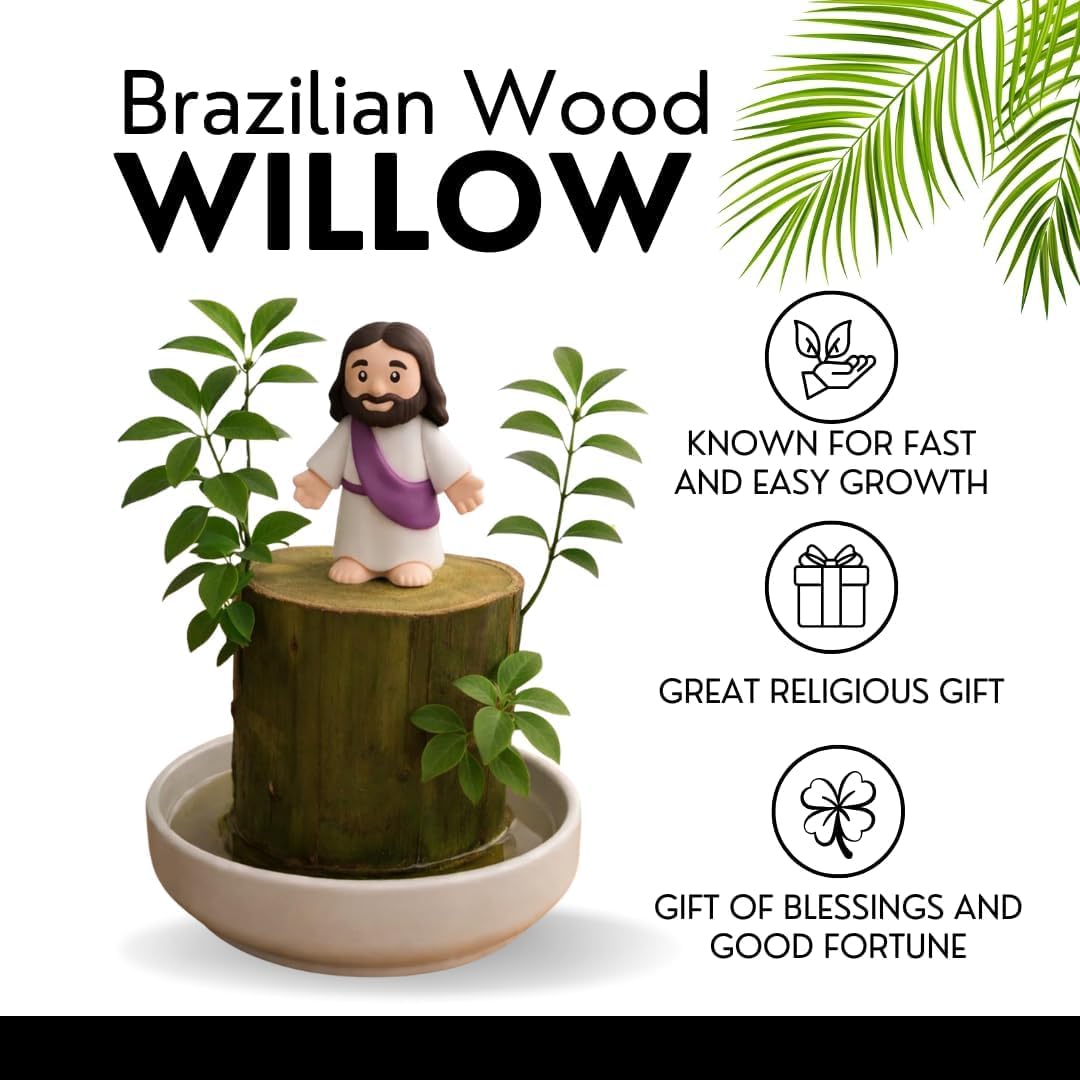 Brazilian Willow Wood Kit – Easter Christian Gift with Jesus Figure - Non-Candy Easter Basket - Fast Growing Blessed Tree with Tray - Faith-Inspired Housewarming or Christian Teacher Gift