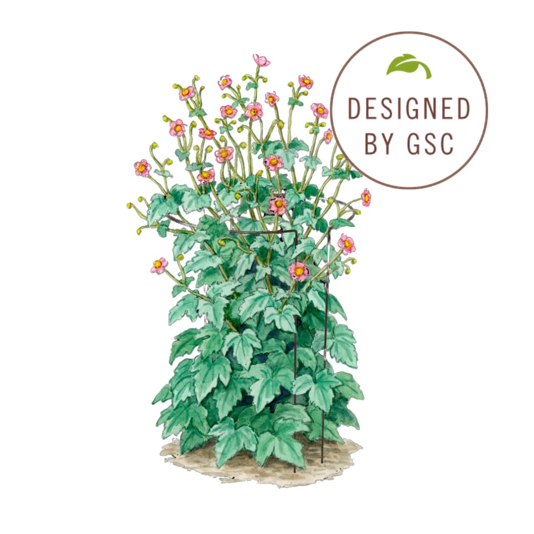 Gardener's Supply Company | 18" x 29" Jardin Half-Round Supports (Set of 2) | Half-Round Plant Supports Prevent Flopping Flowers | Weatherproof Powder-Coated Steel