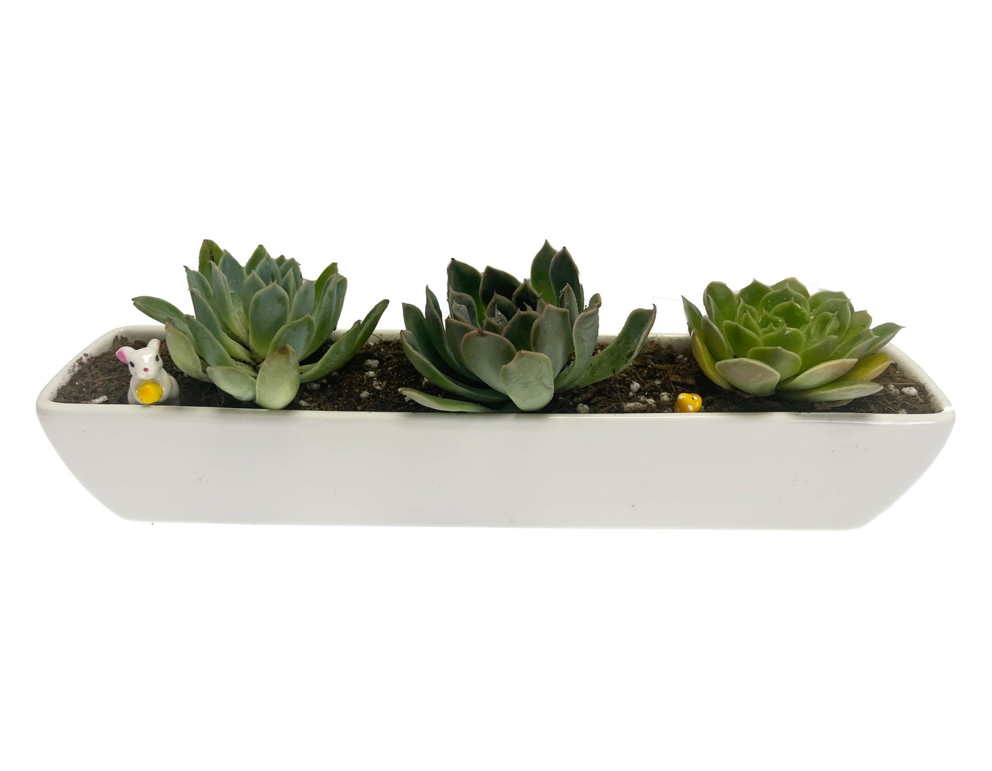 Kipokalor Long Rectangular Modern Succulent Planter Pot, 2 Set of 11.1x2.36x1.77inch Minimalist White Ceramic Succulent Planter Pot with Ceramic Saucer for Office,Desk,Window.