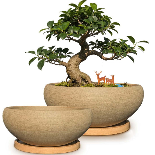 MUZHI 2 Pack Round Unglazed Ceramic Bonsai Pot with Bamboo Tray 8"+6.5", Large Rough Pottery Succulent Planter with Drainage Hole