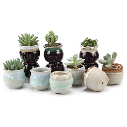 T4U Small Ceramic Succulent Pots with Drainage - Set of 12, Mini Pots for Plants, Home and Office Decor, Plant Lover Gifts for Women