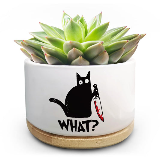 Jutasty Funny Black Cat Plant Pot for Succulent, Cactus Flower Planter for Indoor Plants, Unique Succulents Pots with Drainage, Cats Owner Gifts, Home Desk Decor Planter Gift for Cat Lover (No Plants)