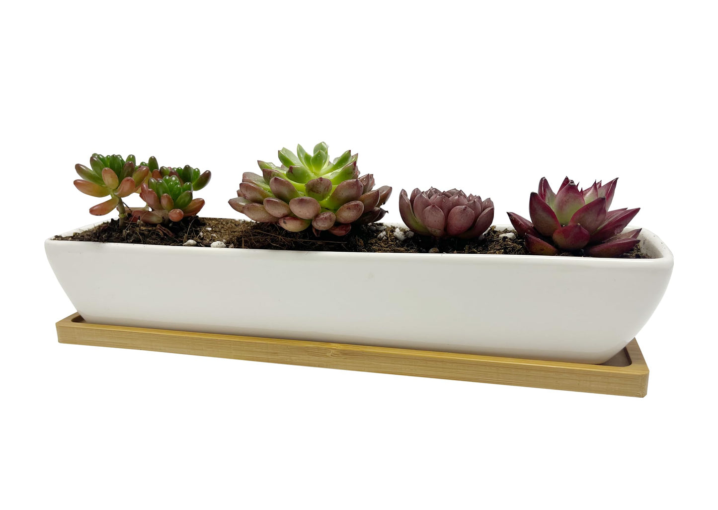 SeaStar White Rectangular Long Succulent Planter Pot,11x2.16x1.75inch Modern Minimalist Ceramic Succulent Planter Pot with Saucer for Office,Desk,Window.