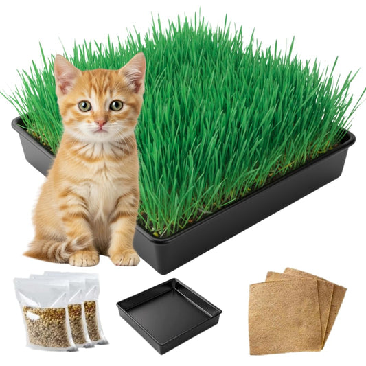 Cat Grass Growing Kit - Gift for Cat Owners & Pet Lovers - Organic Seed, Jute Grow Mats, 10 x 10 Container - Great for Indoor/Outdoor Pets - Pet Grass - Complete Set - No Tools Required
