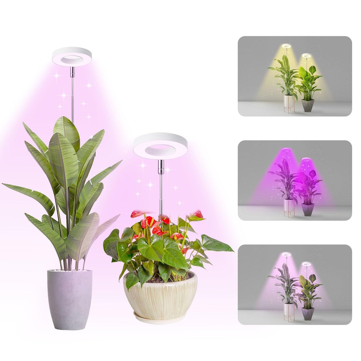 Halo Ring Grow Lights for Small Indoor Plants, Red+Blue+Yellow Light Full Spectrum LED Plant Light, Height Adjustable with 5V 2A Adapter, 3/9/12H Timer & 10 Dimmable Levels, Angel Ring 2 Pack