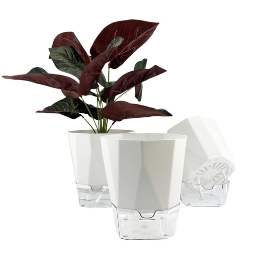 BovcTrraann 3 Packs Self Watering Plant Pots, Plastic Flower Pots with Drainage Hole and Saucer, Self Watering Planters for Indoor Outdoor Garden Plants, African Violet, Herbs (White, 6.7")