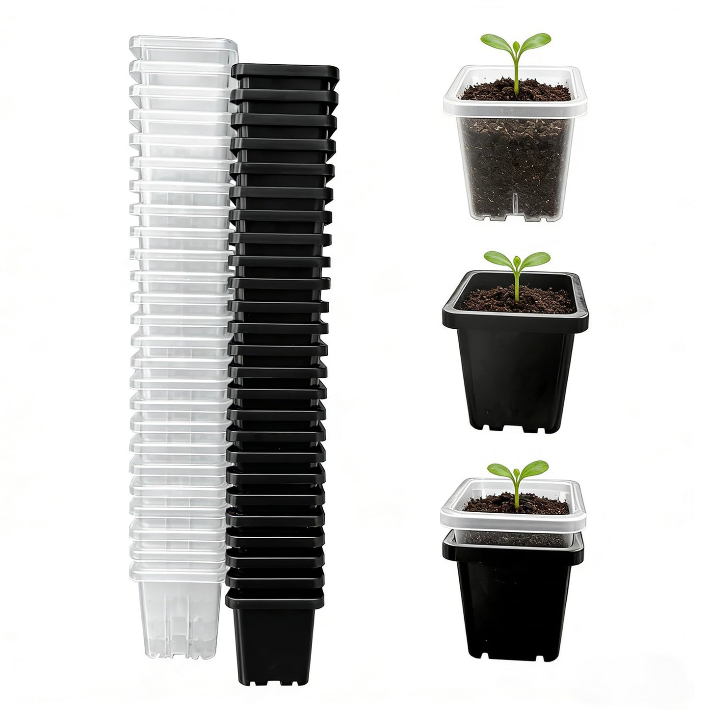 Gyfofix 2 Inch Square Nursery Pots, 50 Pack (25 Clear + 25 Black) Seedling Starter Pots, Plastic Plant Pots with Drainage Holes, for Seed Germination, Root View, and Light Blocking