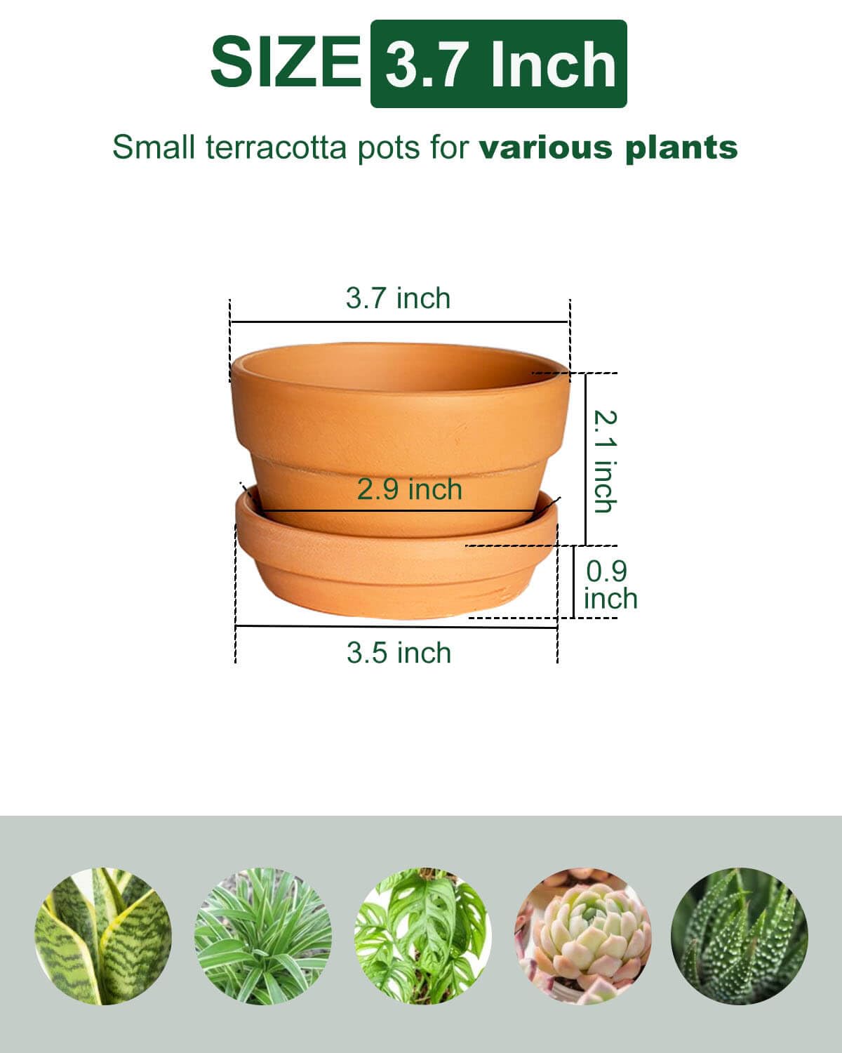 3.7 Inch Shallow Terracotta Plant Pots - 6 Pack Mini Clay Flowerpot with Drainage Hole, Terra Cotta Succulent Pot for Indoor Outdoor Plants