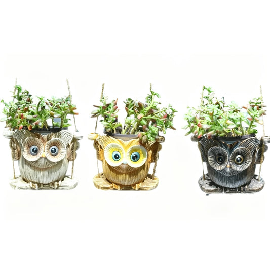 EONXNGAGY Set of 3 Swing Owl Planters Owl Succulent Pot Unique Plant Hangers Outdoor Hanging Plant Holder Owl Gift