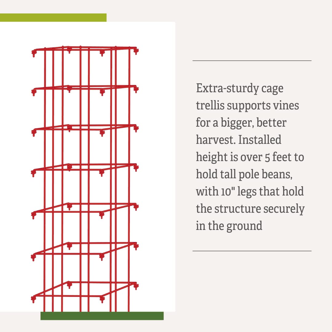 Gardeners Supply Company Large Bean Tower Plant Support | Sturdy Weatherproof Outdoor Beans, Peas & Other Climbing Vegetable Garden Plants Stake | Best for Small Space Garden - 75" H - Red