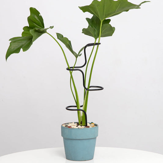 GOOOXIM 3PCS Indoor Plant Support Stakes - Sturdy Metal Trellis for Garden Flowers & Monstera, Durable & Easy to Use, Perfect for Small to Medium Indoor Plants, Ideal Gift for Plant Lovers!
