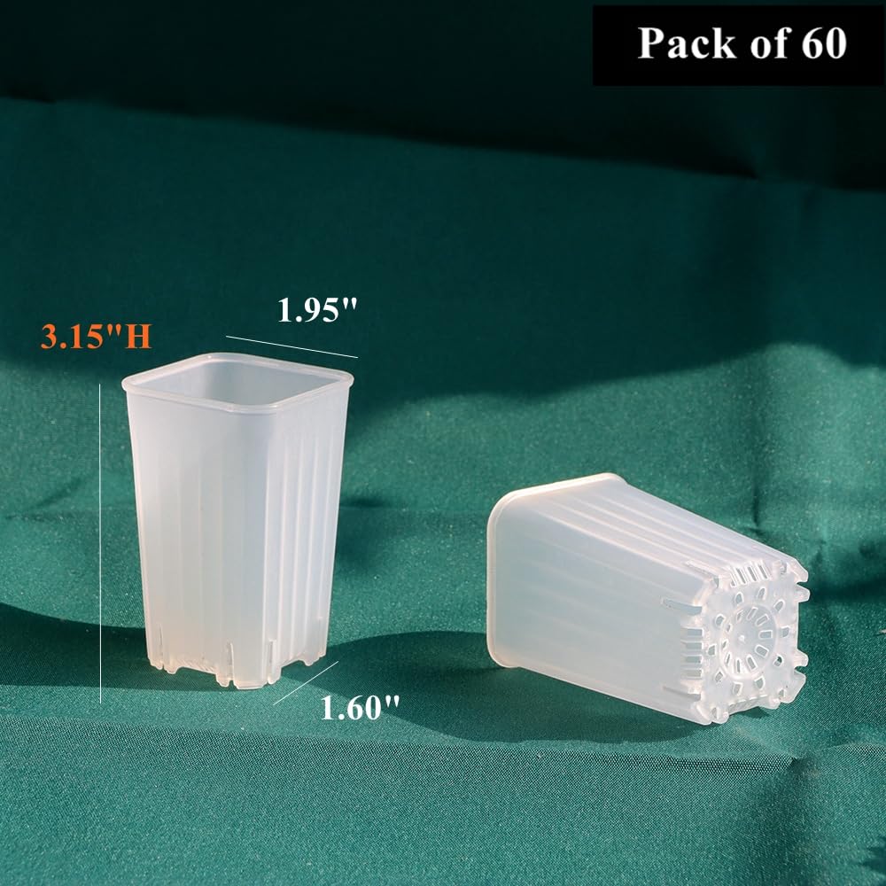 BangQiao 60 Pack 1.95 Inch Tiny Clear Plastic Square Nursery and Seedling Pot, Mini Deep Transplant Seed Starter Planter with Drain Hole for Germination, Herb, Succulent