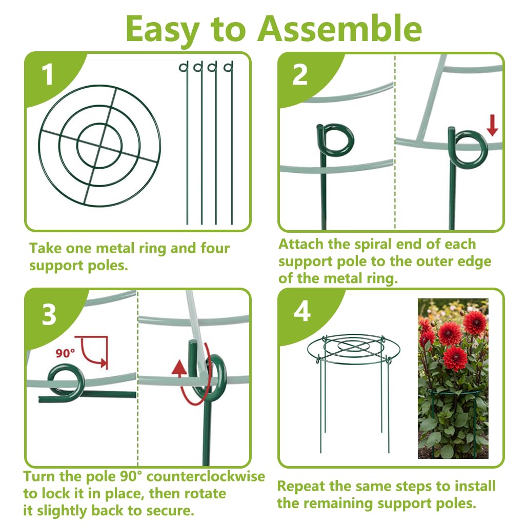 DAYUMKOU 8 Pack Peony Cages and Supports, 14" D x 24" H Plant Supports for Outdoor Plants, Heavy Duty Metal Peony Support Cage Flower Support Rings for Rose Hydrangea Strawberry