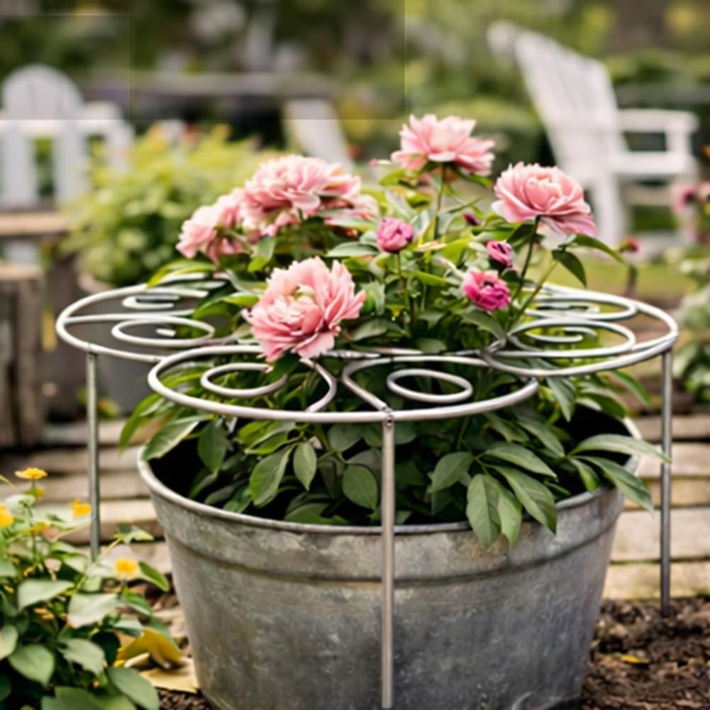 Metal Plant Support Ring for Garden, Peony Cage Stand, Indoor Pots, Flower Hoop, Decorative Grow Through Rings, Stackable Houseplant Stake, Dahlia Cage, Outdoor Orchid Clip(2PCS,Medium)