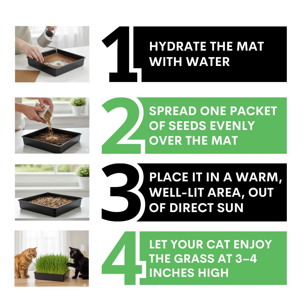 Cat Grass Growing Kit - Cat Lover Holiday Gift - Organic Seed, Jute Grow Mats, No Tools Needed - 10 x 10 Grow Container - Great for Indoor or Outdoor Pets - Complete Set - White Elephant