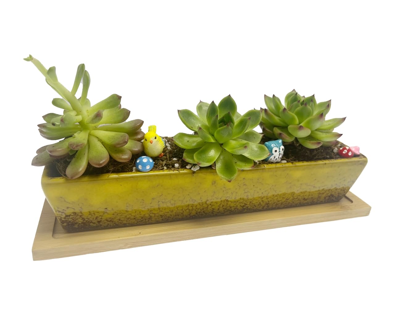 9.8inch yellow long rectangle Ceramic Succulent Planter Pot,one set of Mini Flower Plant Container with Bamboo Saucers. Product size:9.8 x2.35x1.77 inch,not include the plant. (Yellow)