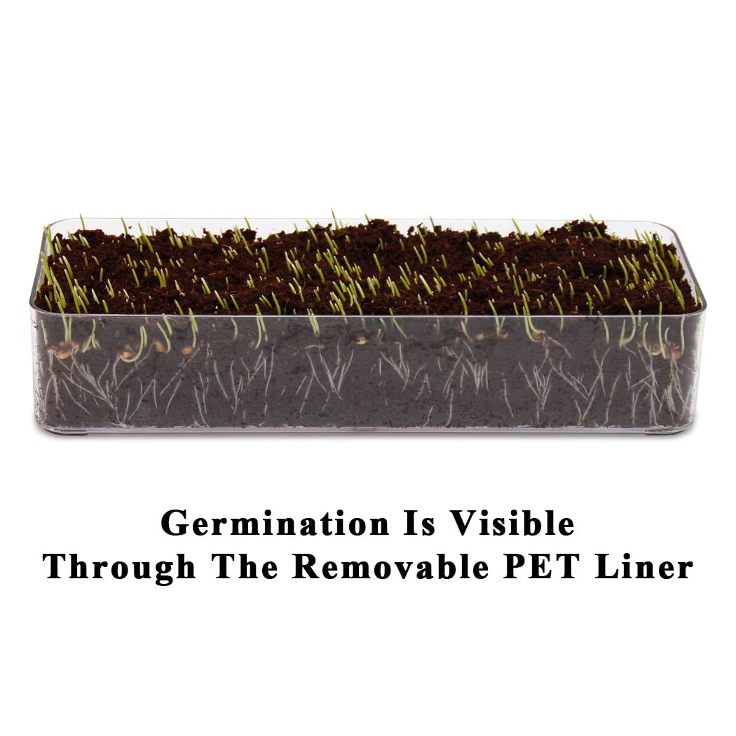 BENPIN Wooden Cat Grass Planter (no Seeds Included) with Anti Digging Design, and Removable Plastic Liner, Wheat Grass Growing Pot, Cat Grass for Indoor Cats Pets (Vintage Blue)